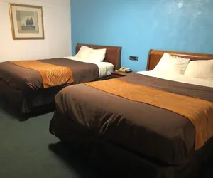 Photo 3 - Collier's Motel