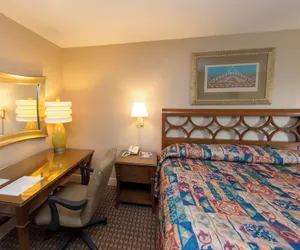 Photo 5 - Audubon Inn