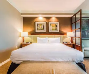 Photo 2 - MGM 10719 Signature Strip View Studio