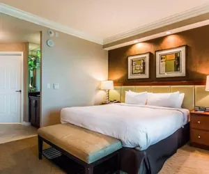 Photo 3 - MGM 10719 Signature Strip View Studio