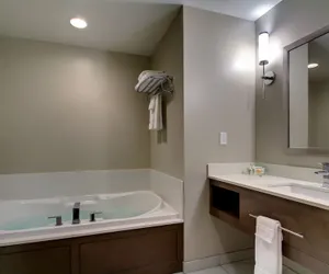 Photo 4 - Holiday Inn Peoria At Grand Prairie by IHG