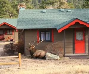 Photo 2 - Tiny Town Cabins