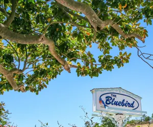 Photo 2 - Bluebird Inn