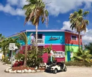 Photo 3 - Conch Key Fishing Lodge and Marina