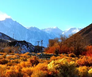 Photo 5 - Mt Whitney Motel
