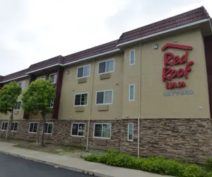 Photo 2 - Red Roof Inn Hayward