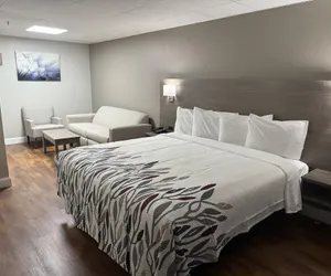 Photo 5 - Red Roof Inn & Suites Swansea