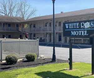 Photo 2 - White Rose Motel - Hershey