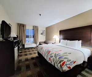 Photo 5 - Trident Inn & Suites, New Orleans