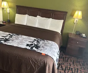 Photo 5 - Executive inn