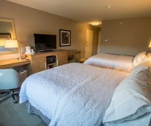 Photo 5 - Hampton Inn by Hilton Amesbury