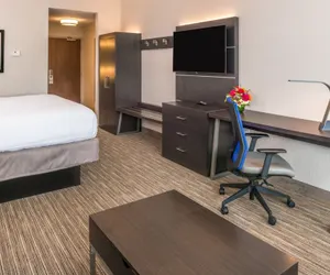 Photo 5 - Holiday Inn Express & Suites Tampa North - Wesley Chapel, an IHG Hotel