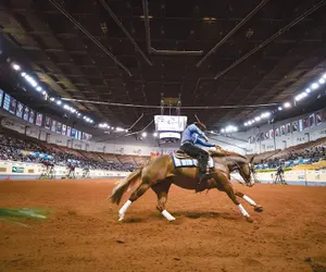 Photo 2 - Holiday Inn Express & Suites Moore by IHG