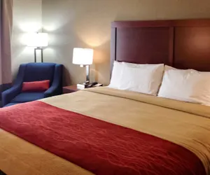 Photo 5 - Comfort Inn & Suites Augusta