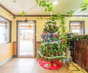 Photo 3 - Budget Inn By OYO Edinburg Hwy 281