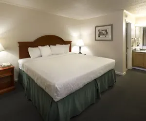 Photo 5 - Belle Aire Motel
