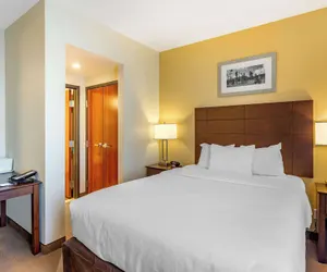 Photo 5 - MainStay Suites Near Denver Downtown