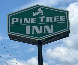Photo 2 - Pine Tree Inn
