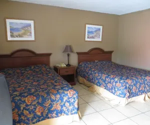 Photo 3 - Travel Inn & Suites