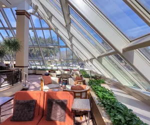 Photo 5 - Hilton Houston Westchase
