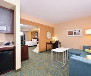 Photo 5 - SpringHill Suites by Marriott Arundel Mills BWI Airport