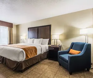 Photo 5 - Comfort Inn Dallas Park Central