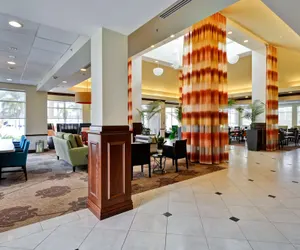 Photo 4 - Hilton Garden Inn Tampa Northwest/Oldsmar