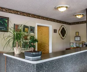 Photo 4 - Econo Lodge Paw Paw