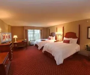 Photo 5 - Hampton Inn & Suites Greenville