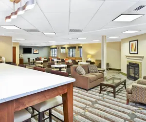 Photo 5 - Holiday Inn Express & Suites Bradley Airport by IHG