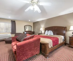 Photo 5 - Econo Lodge Inn & Suites Bryant