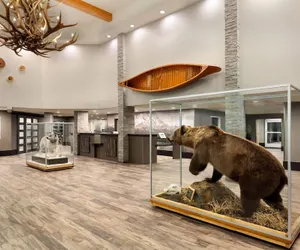 Photo 3 - La Quinta Inn & Suites by Wyndham Fairbanks Airport