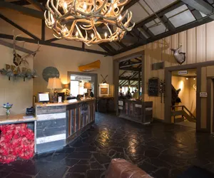 Photo 3 - Peaks of Otter Lodge