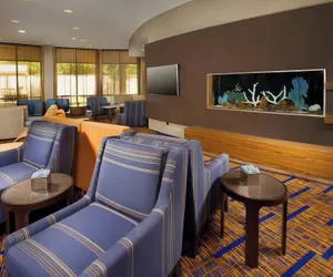 Photo 5 - Courtyard by Marriott San Antonio SeaWorld/Lackland