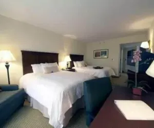 Photo 3 - Hampton Inn and Suites Dobson