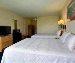 Photo 5 - Airport Inn Flint