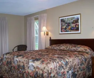 Photo 5 - Fontana Village Resort