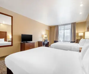 Photo 3 - Comfort Inn at Convention Center