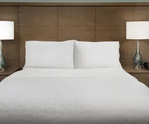 Photo 5 - Staybridge Suites Greenville I-85 Woodruff Road by IHG