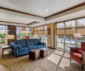 Photo 4 - Comfort Suites Seaford