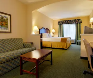 Photo 4 - Holiday Inn Express Hotel & Suites San Antonio by IHG