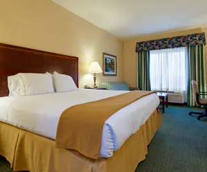 Photo 3 - Holiday Inn Express Hotel & Suites San Antonio by IHG