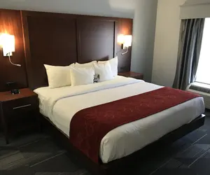 Photo 5 - Comfort Suites Olive Branch - Memphis South