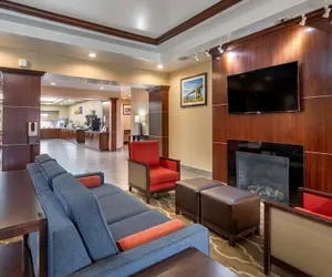 Photo 3 - Comfort Suites Olive Branch - Memphis South