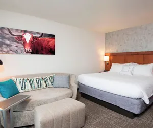 Photo 5 - Courtyard by Marriott San Antonio North/Stone Oak at Legacy