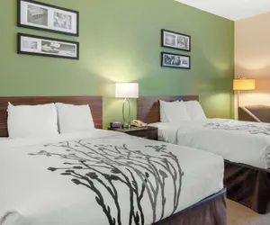 Photo 5 - Sleep Inn & Suites Port Charlotte - Punta Gorda