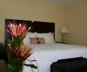Photo 5 - Hampton Inn & Suites Orlando-John Young Pkwy/S. Park