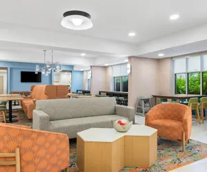 Photo 4 - Hampton Inn by Hilton Gainesville-Haymarket