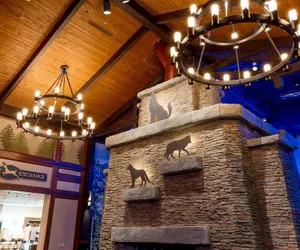 Photo 2 - Great Wolf Lodge Illinois