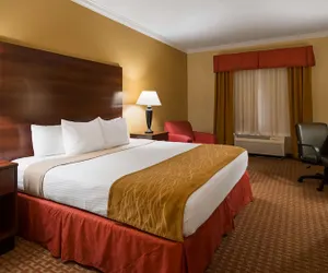 Photo 4 - Best Western Eufaula Inn
